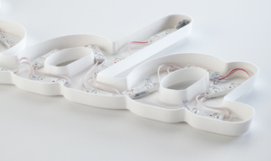 GemLite Channel Can with LEDs